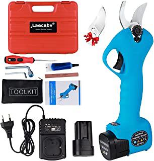Recensioni di tagliasiepi telescopico a batteria professiona