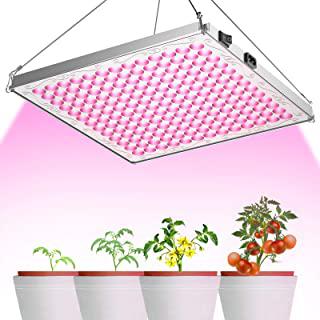 Recensioni di terriccio biobizz