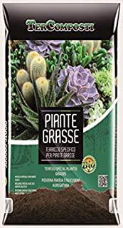 Recensioni di terriccio per cactus