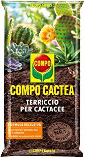 Recensioni di terriccio per piante grasse