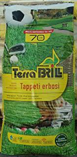 Recensioni di terriccio per prato erboso