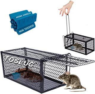 Recensioni di trappole intelligenti per topi