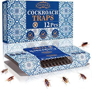Recensioni di trappole per blatte