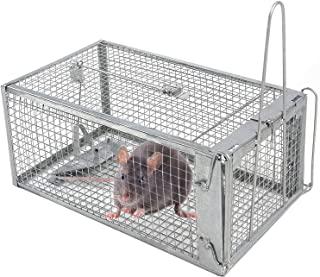 Recensioni di trappole per corvi