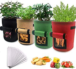 Recensioni di vasi per giardino verticale