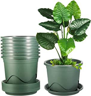 Recensioni di vasi per giardino