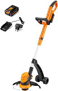 Recensioni di worx tagliabordi
