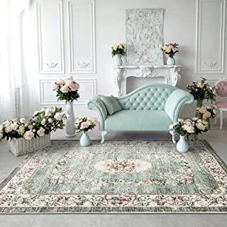 Recensioni di tappeti shabby