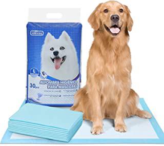 Recensioni di tappetini cane