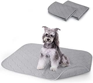 Recensioni di tappetini riscaldanti per cani