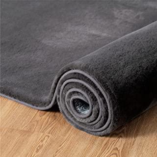 Recensioni di tappeto grigio pelo corto